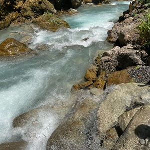 Meet your Posher, Julie